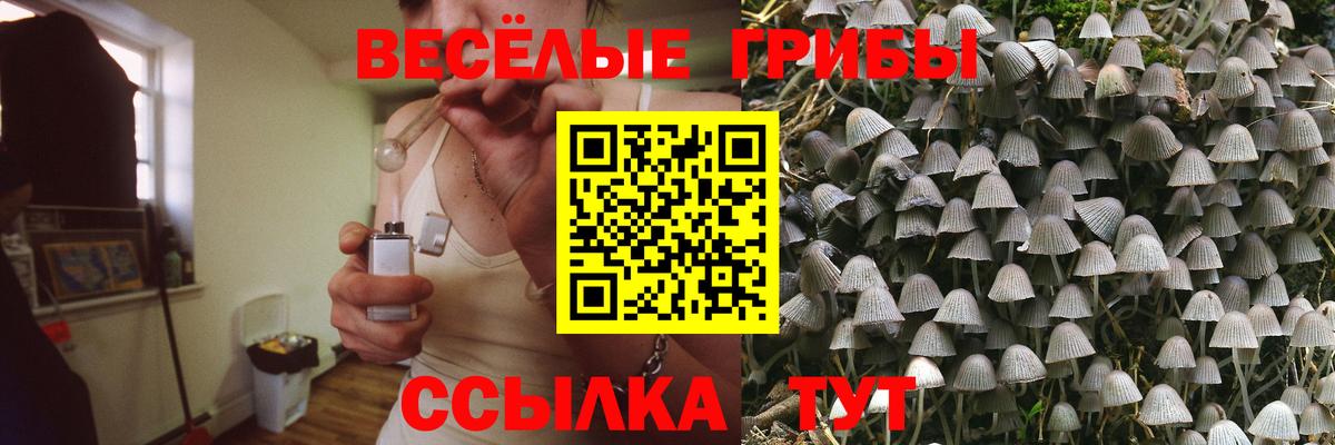 Алейск  Галлюциногенные грибы Magic Shrooms  Псилоцибиновые грибы MAGIC MUSHROOMS  наркошоп  Вход с VPN 